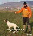 Pedigree MORGAN SANDRISANA Pedigree MORGAN SANDRISANA